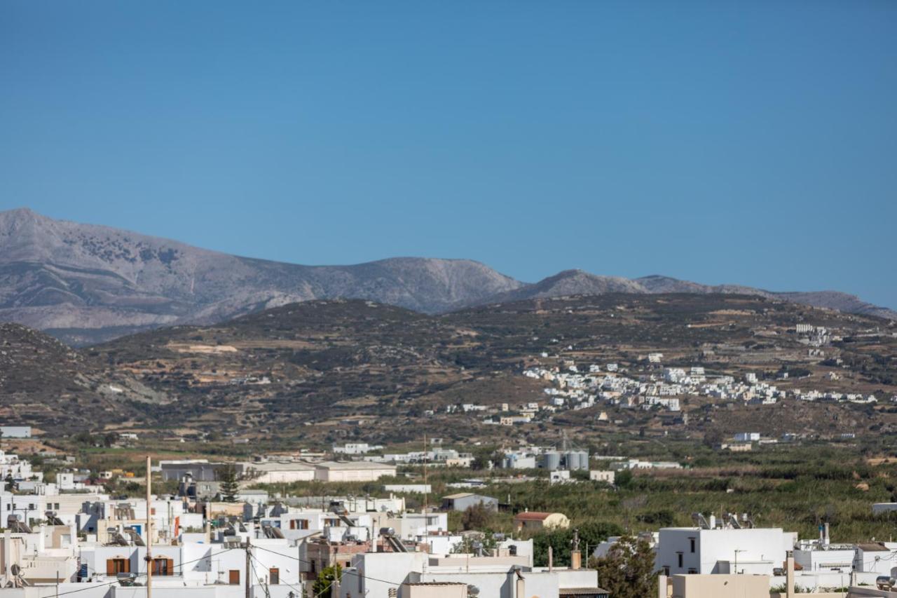 Naxian Icon Luxury Residence Naxos City Экстерьер фото